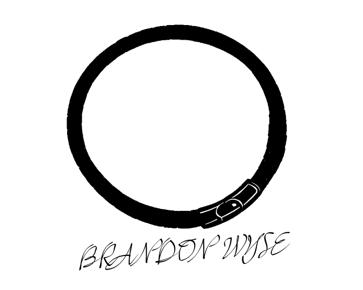 Brandon Wyse logo